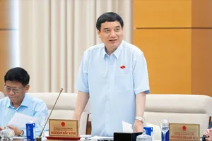 Phải có dự án thí điểm làm 'ra tấm, ra món' để cải tạo sông Tô Lịch