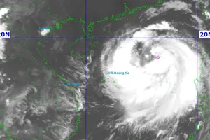 Bão số 11 Matmo đã mạnh lên cấp 11, giật cấp 14