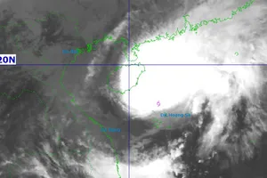 Bão Thần Gió cách Đà Nẵng 420 km, Cục Đường bộ yêu cầu lãnh đạo sẵn sàng có mặt tại hiện trường