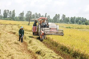 Bộ Chính trị: Quy hoạch 'làng trong phố, phố trong làng' gắn kết chuỗi giá trị trong nước và quốc tế