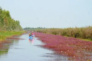Khu Ramsar 2.000 của thế giới: Về với thiên nhiên!
