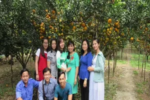 Đồng Tháp: Sắp có sản phẩm du lịch nông nghiệp sạch