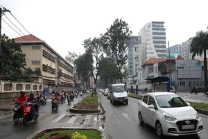 Giá đất đường Tôn Đức Thắng được bồi thường như thế nào?