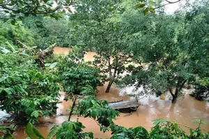 Mưa lũ ở Tây Nguyên: Núi biến thành sông