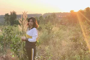 Những hoa thơm, cỏ lạ hút hồn dân phượt khi đến Tây Nguyên