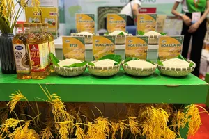 Gạo Việt xuất khẩu đang có giá cao nhất trong 5 năm qua