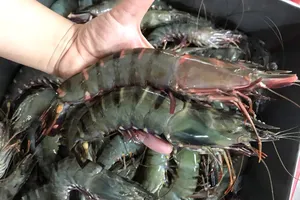 'Vua tôm' muốn kinh doanh bất động sản