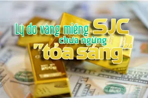 Lý do vàng miếng SJC chưa ngừng ‘tỏa sáng’
