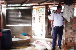 Phát hiện lò mổ heo bệnh bán cho các chợ ở Bình Dương, Đồng Nai