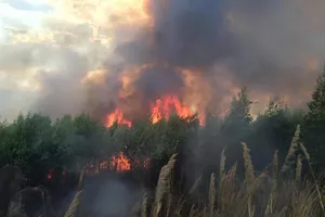 Cháy lớn trên Khu di tích núi Chứa Chan