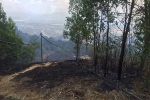 Đã dập tắt vụ cháy rừng trên khu di tích núi Chứa Chan