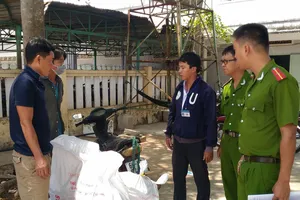 Tiêu hủy hai tạ gà chết không rõ nguồn gốc