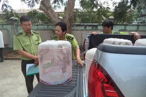 Vận chuyển chim rừng trái phép bị phạt 3 triệu đồng