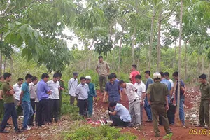 Bắt nghi can giết người trong lô cao su