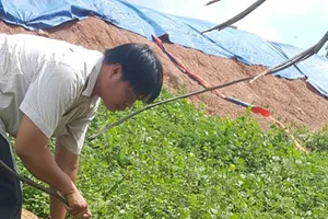 Lấy mẫu kiểm tra công ty bị người dân 'tố' gây ô nhiễm 