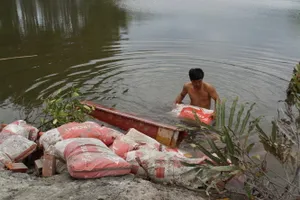 Vụ bà chủ đầm tôm: 5 bảo vệ rừng bị truy tố