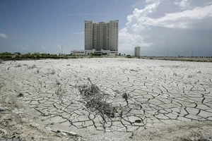 ​Đồng Nai ngăn các dự án gây ô nhiễm môi trường