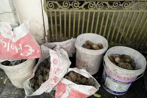 Đào móng nhà, hốt hoảng phát hiện cả 'kho' đạn M79