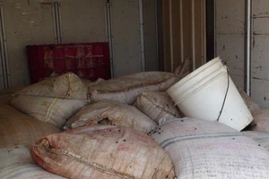 Bắt giữ 700 kg nội tạng hôi thối dùng nuôi cá bè