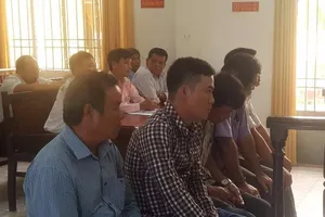 5 bảo vệ rừng đều được hưởng án treo