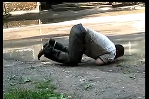 Cướp điện thoại của người say