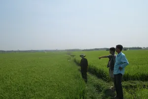 'Trảm' một dự án khai thác đá ở cánh đồng màu mỡ