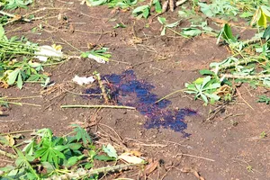 Thông tin mới về vụ nữ sinh lớp 11 bị bắn ở Đồng Nai