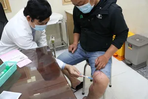 Viêm da do tiếp xúc với kiến ba khoang tăng mạnh ở TP.HCM