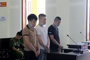 Nghệ An: Giấu ma túy dưới cột điện, ba thanh niên bị kết án tù