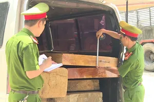 Sử dụng ô tô 'quá đát' vận chuyển gỗ lậu