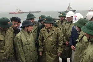 Phó Thủ tướng yêu cầu cưỡng chế người không chịu đi trú bão