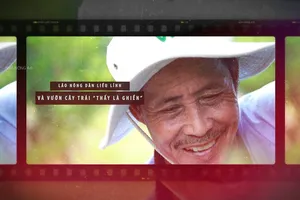 Lão nông dân liều lĩnh và vườn cây trái 'thấy là ghiền'