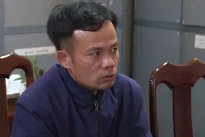 Video: Bắt chủ tịch xã có nhiều vi phạm trong xử lý gỗ lậu