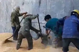 Video: Nghi vấn tàu hàng làm ‘ảo thuật’ trộm hơn 51 tấn bắp 