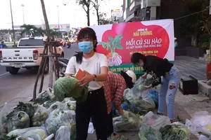 Video: Người Đà Nẵng giải cứu nông sản Hải Dương