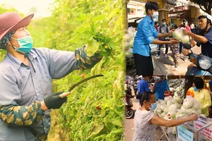 Video: Người Sài Gòn cấp tập giải cứu nông sản vùng dịch