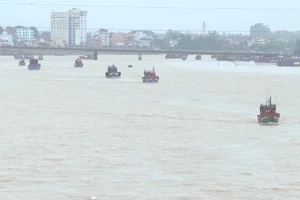 Video: Người Quảng Bình chủ động cẩu thuyền lên bờ tránh bão