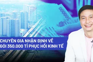 Chuyên gia nhận định về gói 350.000 tỉ phục hồi kinh tế