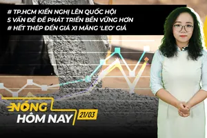 Nóng hôm nay: Hết thép đến giá xi măng 'leo' giá