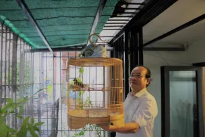 Video: Bác sĩ nha khoa bảo tồn chim chào mào đột biến