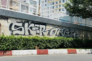 Video: Vẽ graffiti khắp các con đường là nghệ thuật?