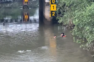 Video: Cảnh sát lặn tìm một bé gái 2 tuổi nghi rơi xuống rạch mất tích