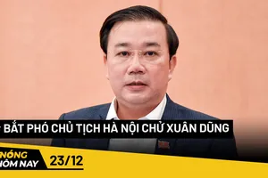 Nóng hôm nay: Nguỵ trang gần 900 chai rượu ngoại ‘lậu’ trong thùng trái cây