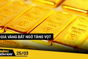 Nóng hôm nay: 30 người Indonesia bị lừa qua Việt Nam để hoạt động lừa đảo