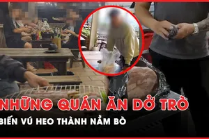 VIDEO ĐIỀU TRA - Kỳ cuối: Thâm nhập 1 loạt quán ăn 'hô biến' vú heo trôi nổi thành nầm bò
