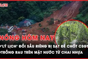 Nóng hôm nay: Yêu cầu kiểm tra tính pháp lý của đồi sầu riêng bị sạt đè sập chốt CSGT đèo Bảo Lộc