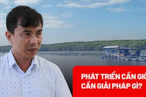 Kinh tế xanh - Lộ trình phát triển bền vững cho Cần Giờ