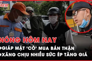 Nóng hôm nay: Công việc của các 'cò' mua bán thận là gì?