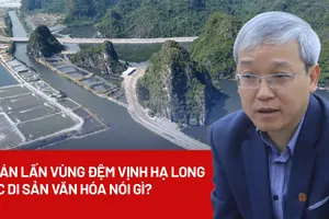 Dự án lấn vùng đệm vịnh Hạ Long: Cục Di sản văn hóa nói gì?