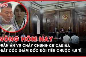 Nóng hôm nay: Vụ cháy chung cư Carina - Vì sao cựu trưởng ban quản lí lãnh 8 năm tù?